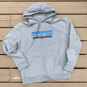 Patagonia hoodie